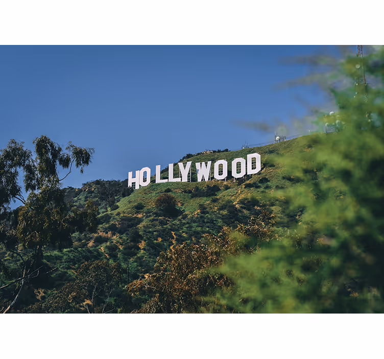 Fotomurale città paesaggio insegna hollywood - TenStickers