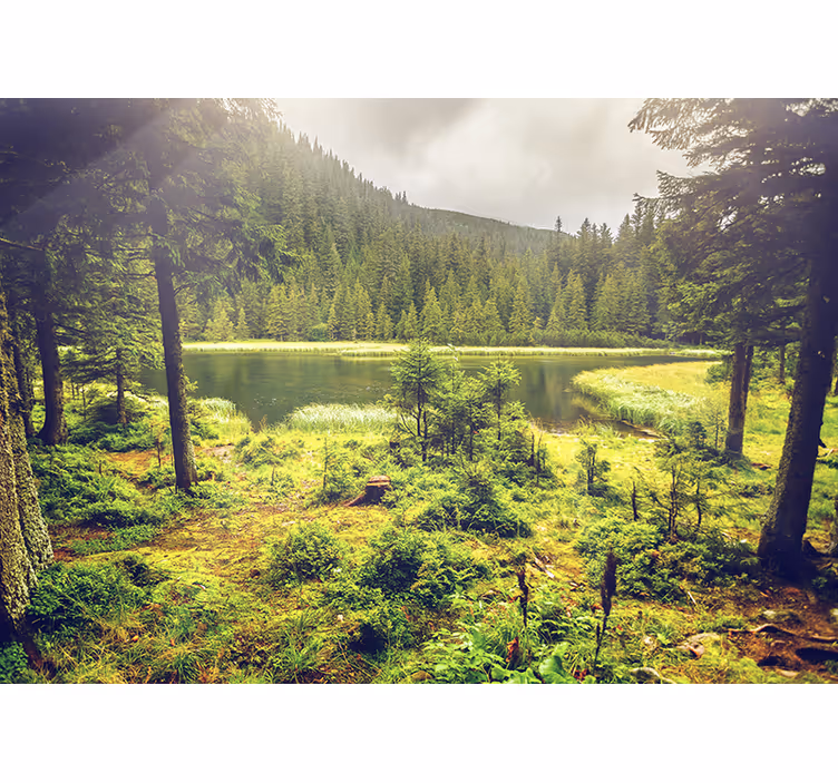 Fotomurale paesaggio con alberi e lago naturale - TenStickers