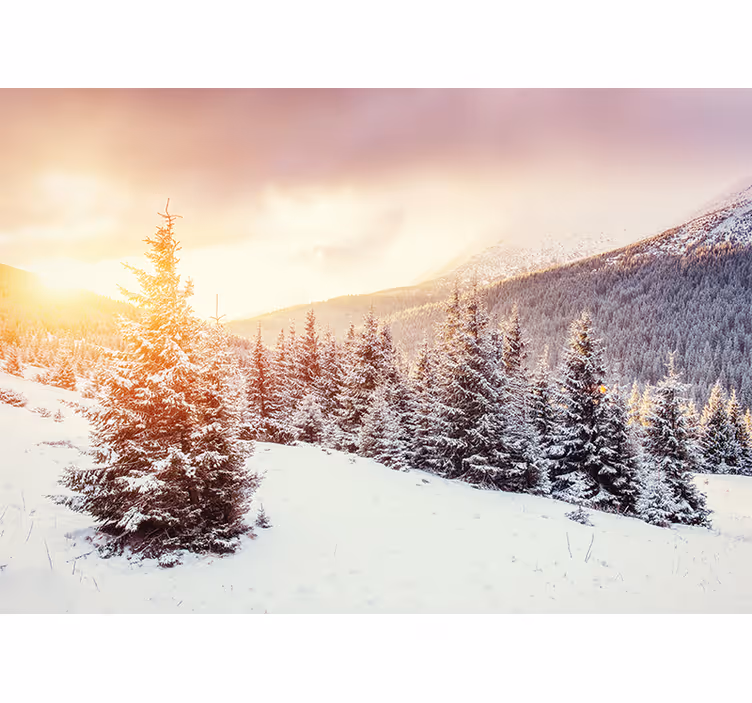 Fotomurale di montagna innevata - TenStickers