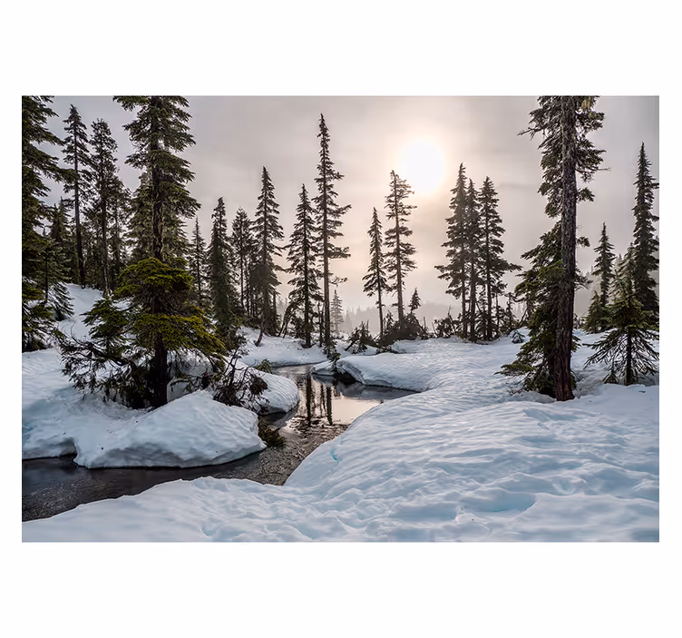 Fotomurale foresta Sole invernale - TenStickers