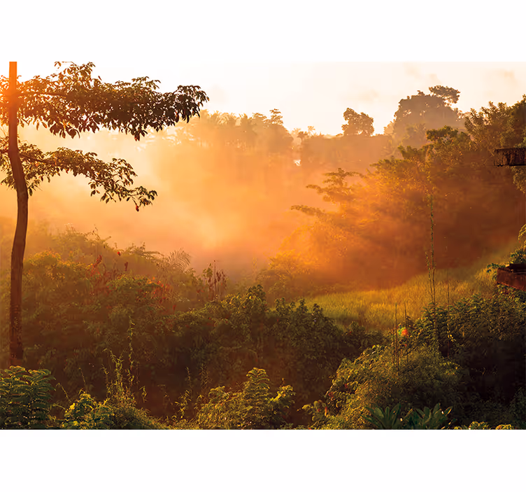 Fotomurali natura paesaggio boschivo tranquillo - TenStickers
