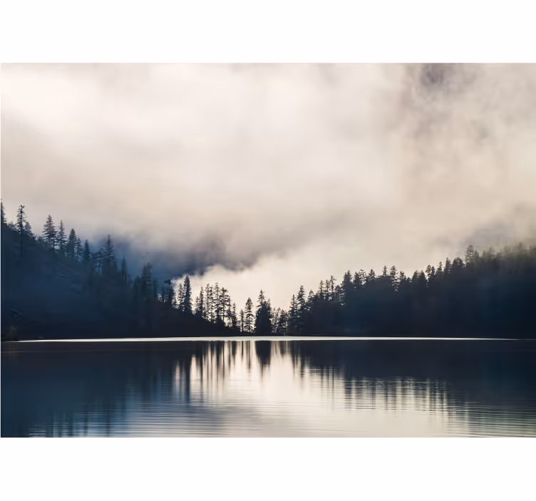 Fotomurale paesaggi riflesso nebbioso nel bosco - TenStickers