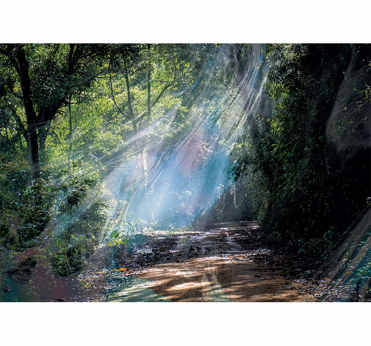 Carta da parati natura sentiero forestale radioso - TenStickers