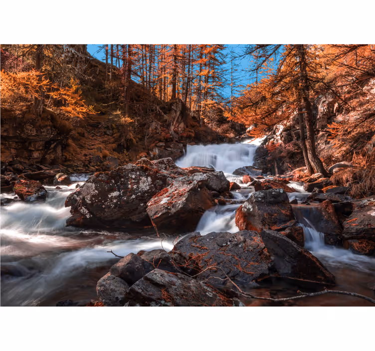 Fotomurale montagna flusso del ruscello autunnale - TenStickers