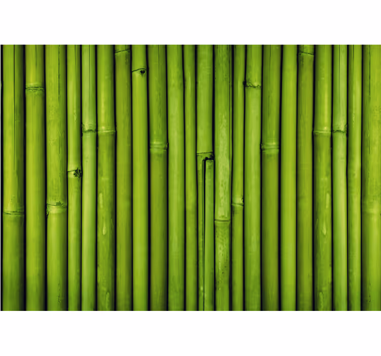 Fotomurali bambù steli di bambù verde - TenStickers