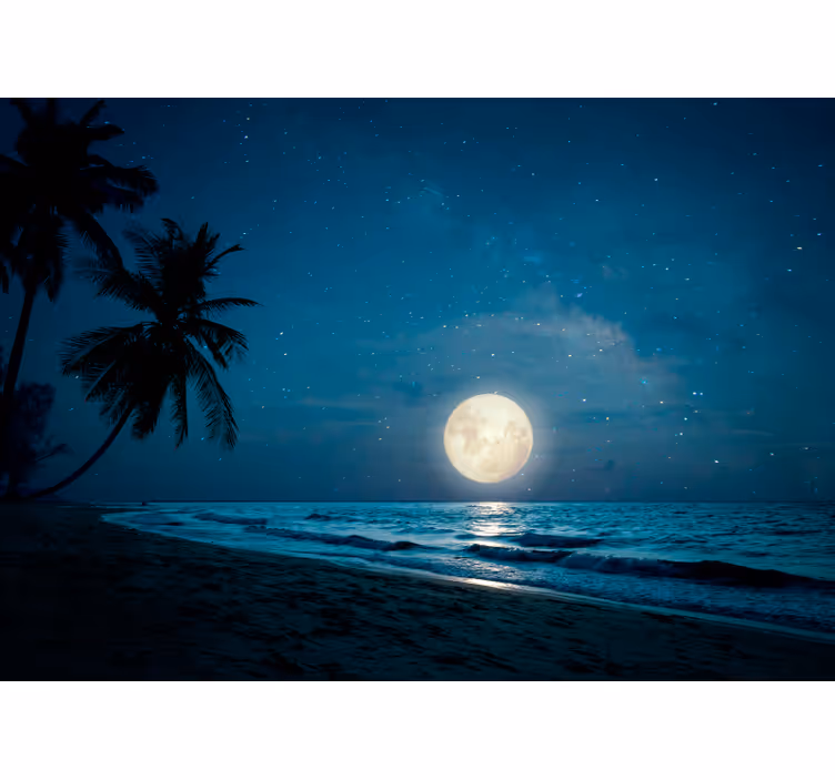 Fotomurali natura scena oceanica al chiaro di luna - TenStickers