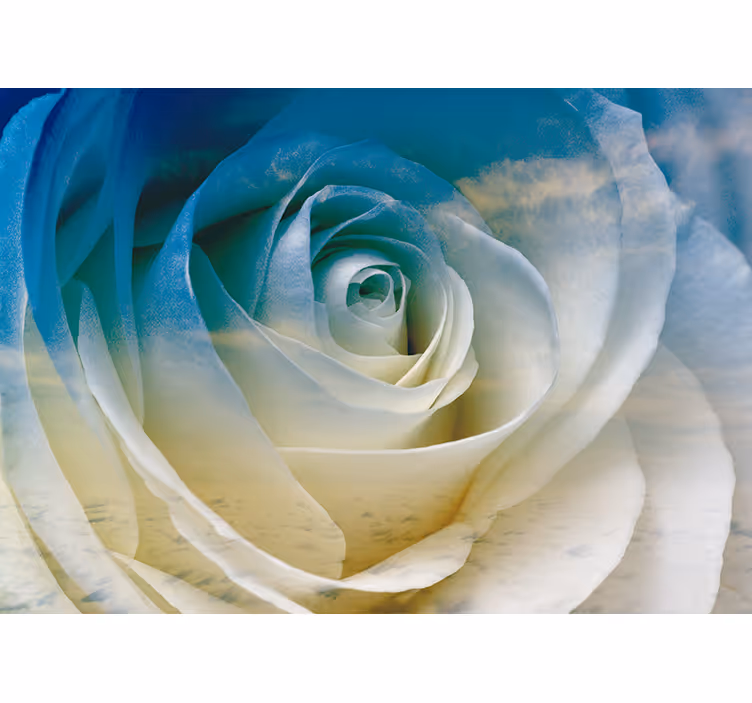 Fotomurale fiori eleganza dei fiori di rosa - TenStickers