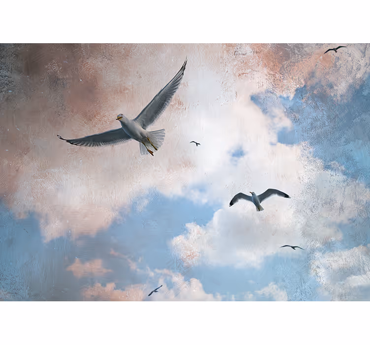 Fotomurale animali gabbiani in volo - TenStickers