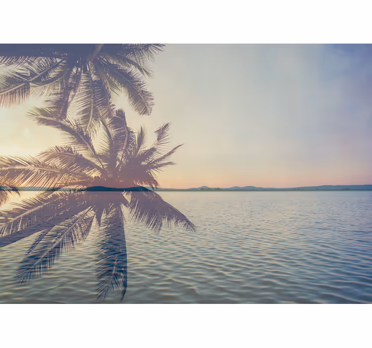 Fotomurali natura silhouette di palma serene - TenStickers