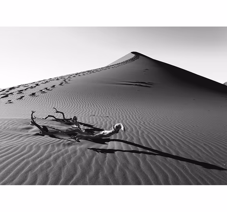 Fotomurale deserto impronte nella sabbia - TenStickers