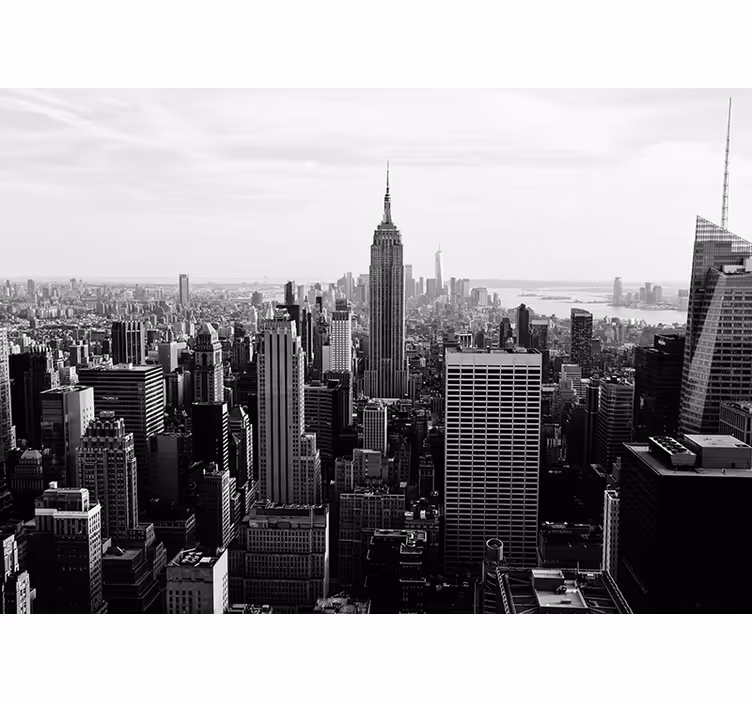 Fotomurale New York vista dell'empire state building - TenStickers