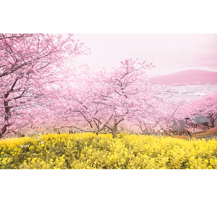 Fotomurale fiori tranquillità dei ciliegi - TenStickers