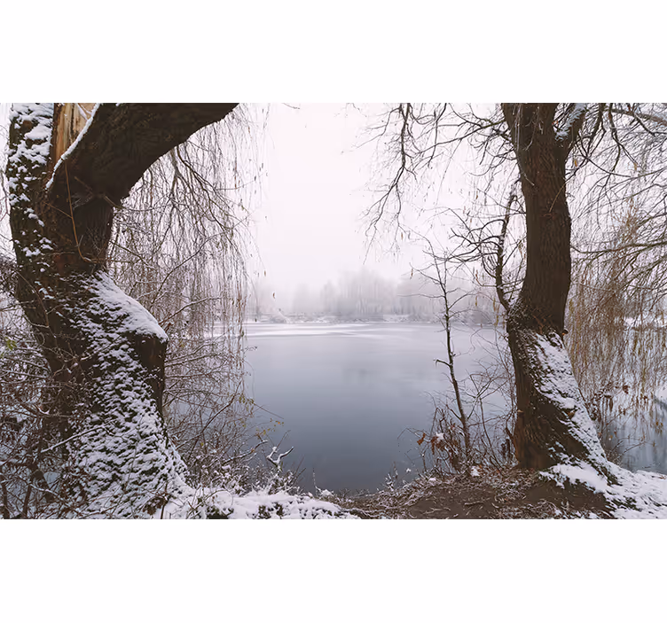 Fotomurale montagna vista sul lago ghiacciato - TenStickers