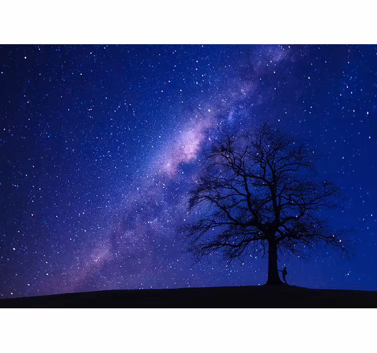 Fotomurale spaziale visione notturna astrale - TenStickers