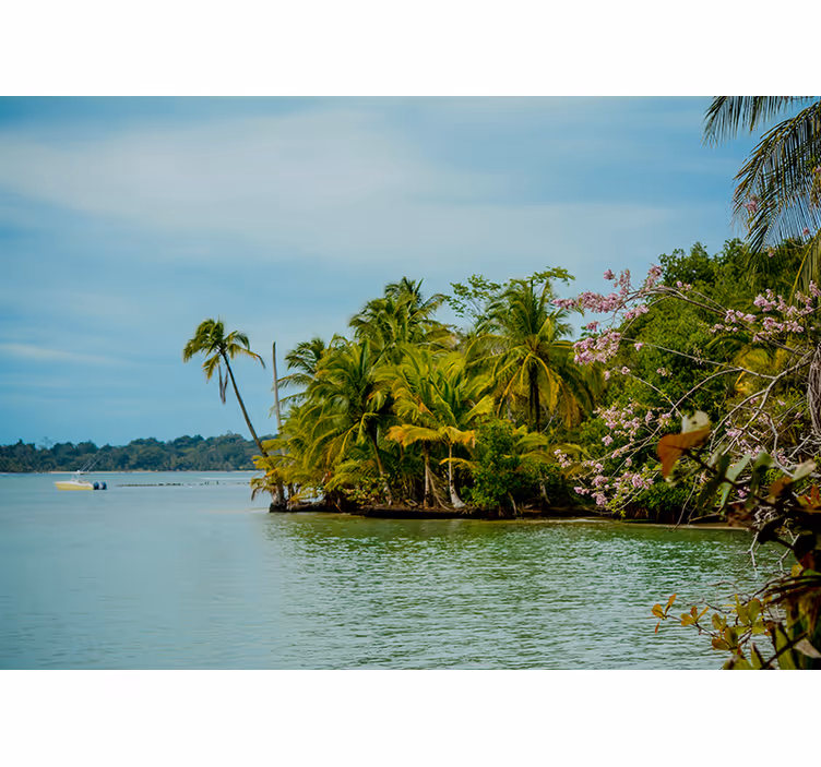 Fotomurali natura oasi di isola tropicale - TenStickers
