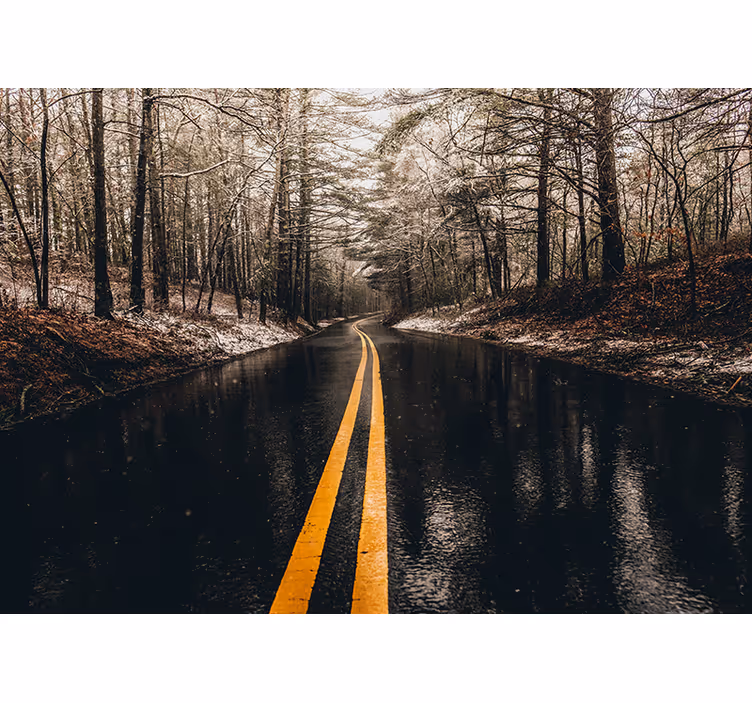 Fotomurale paesaggi strada forestale curva - TenStickers