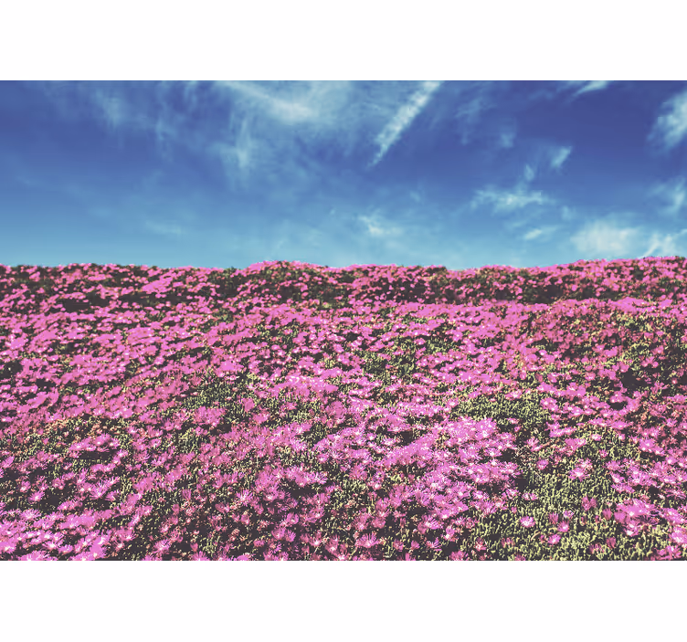 Fotomurale fiori fiori rosa luminosi - TenStickers