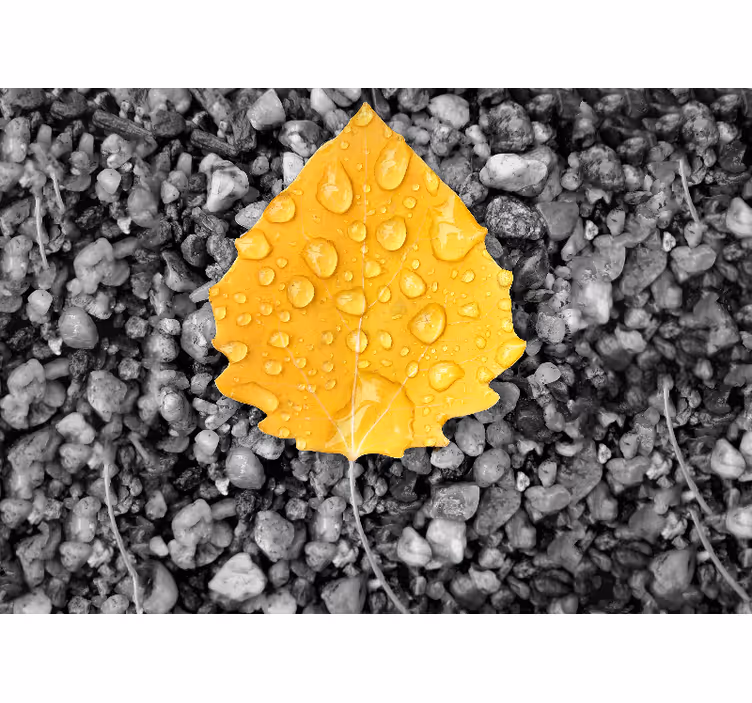 Fotomurali natura dettaglio foglia gialla - TenStickers