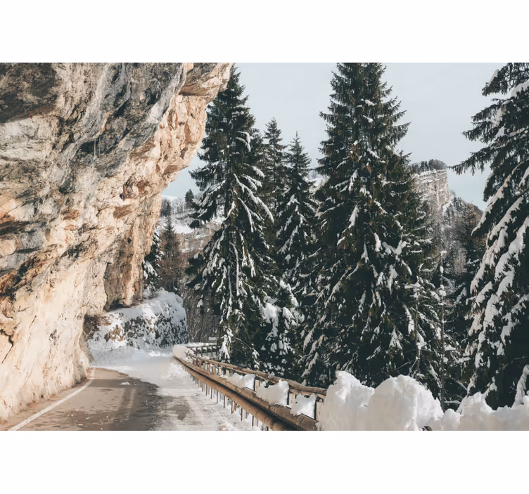 Fotomurale paesaggi paesaggio invernale di pini - TenStickers