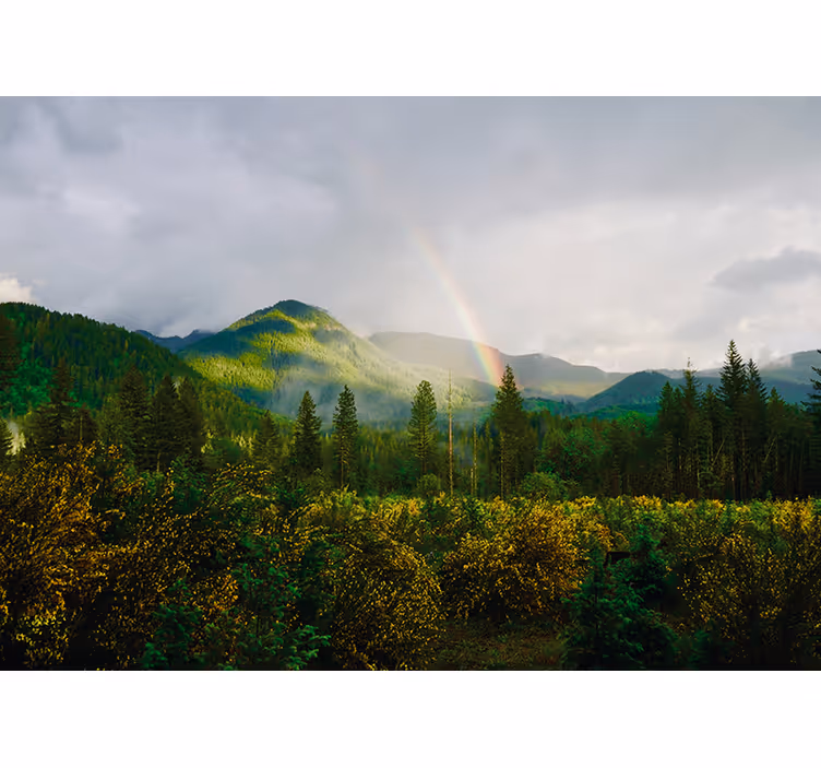 Fotomurali natura vista del paesaggio montuoso - TenStickers