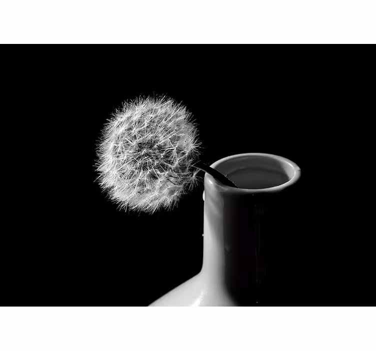 Fotomurale dente di leone in vaso - TenStickers