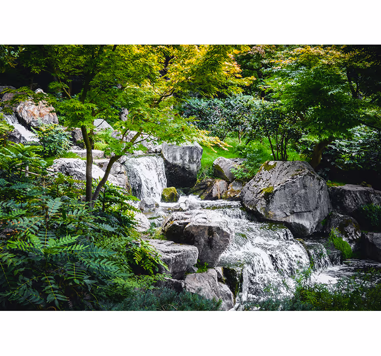 Fotomurali natura rocce di un ruscello - TenStickers