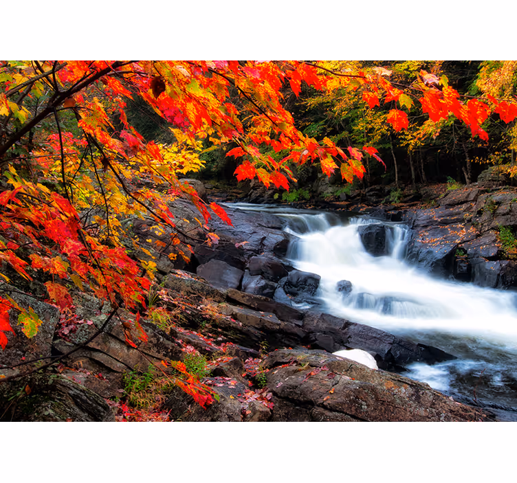 Carta da parati foresta paesaggio autunnale con cascata - TenStickers