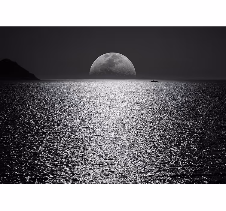 Fotomurale mare vista al chiaro di luna - TenStickers