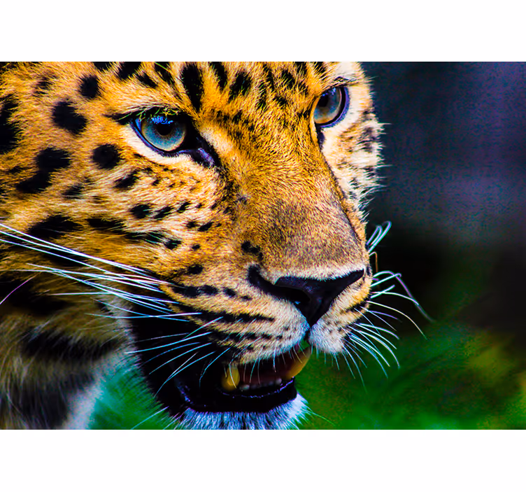 Fotomurale animali leopardo primo piano - TenStickers