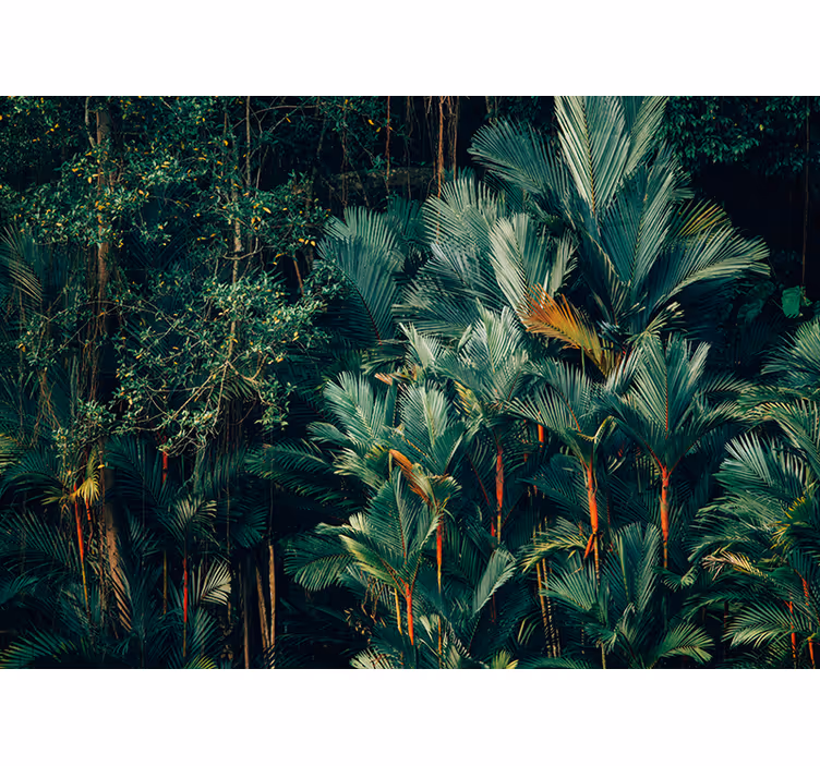Fotomurali natura foliame di palma esotica - TenStickers
