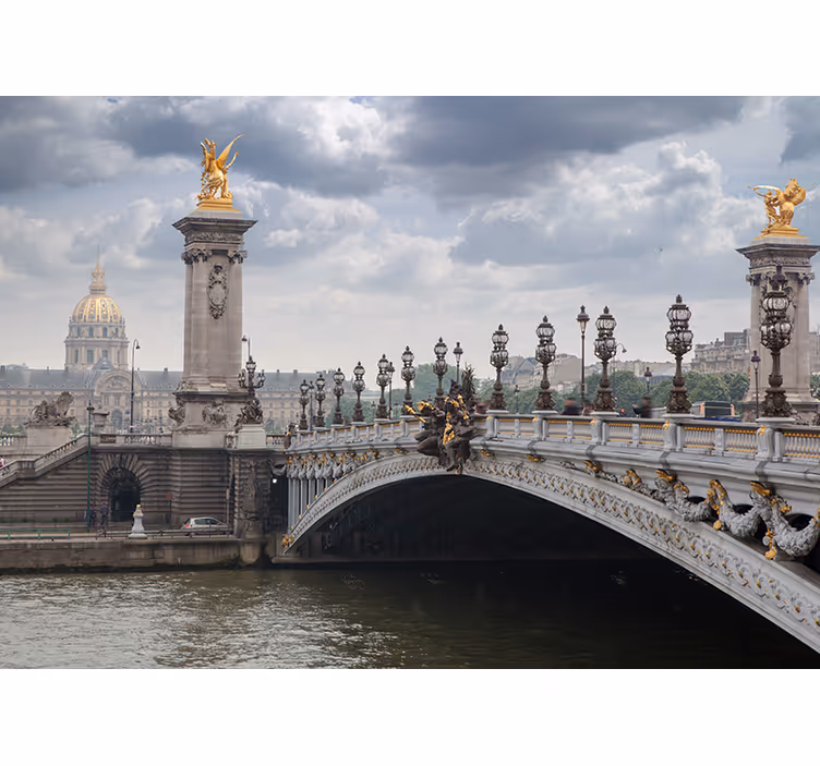 Fotomurale città vista del ponte alexandre iii - TenStickers