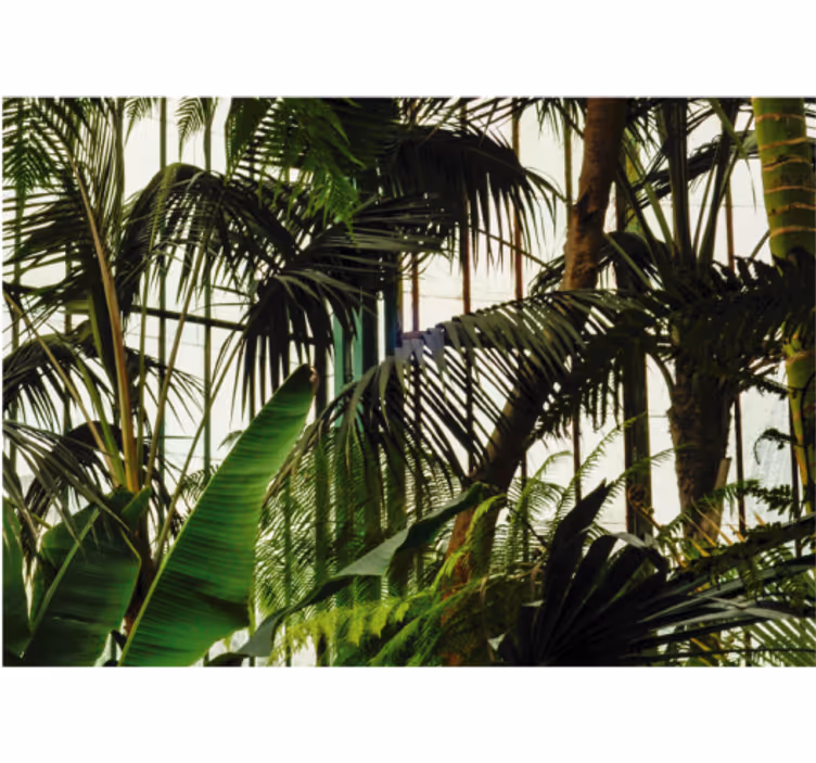 Fotomurali natura vivace fogliame tropicale - TenStickers