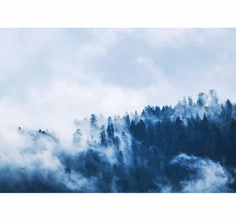 Fotomurali natura paesaggio boscoso nebbioso - TenStickers