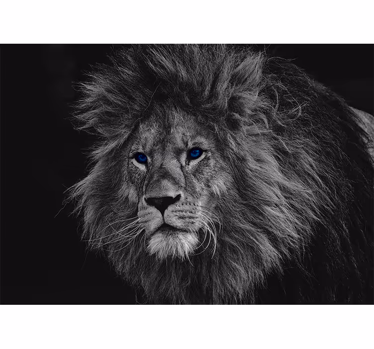 Fotomurali leone illustrazione leone regale - TenStickers