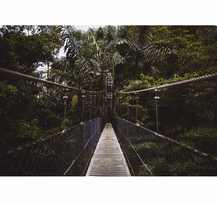 Fotomurali natura avventura sul ponte sospeso - TenStickers