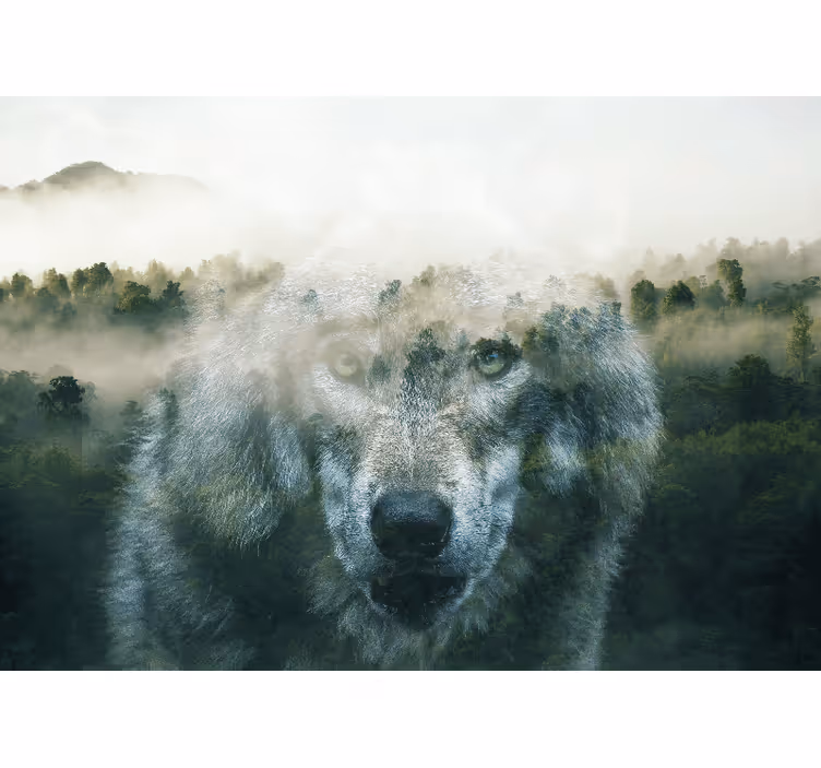 Fotomurale animali ritratto di lupo regale - TenStickers