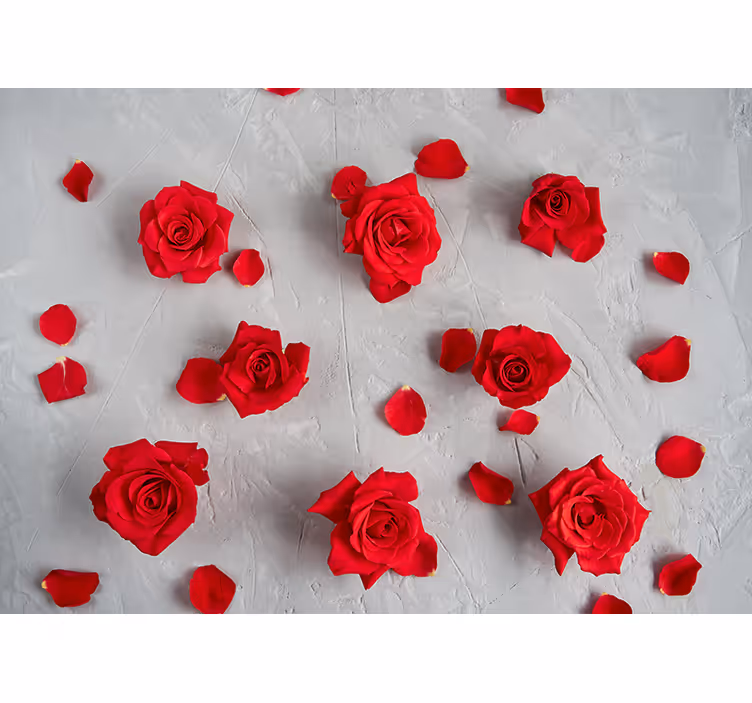 Fotomurale fiori petali di rosa rossa - TenStickers