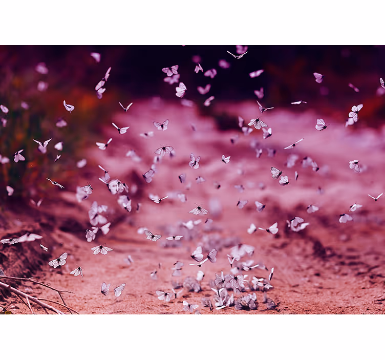 Fotomurale fiori delicata danza delle farfalle - TenStickers