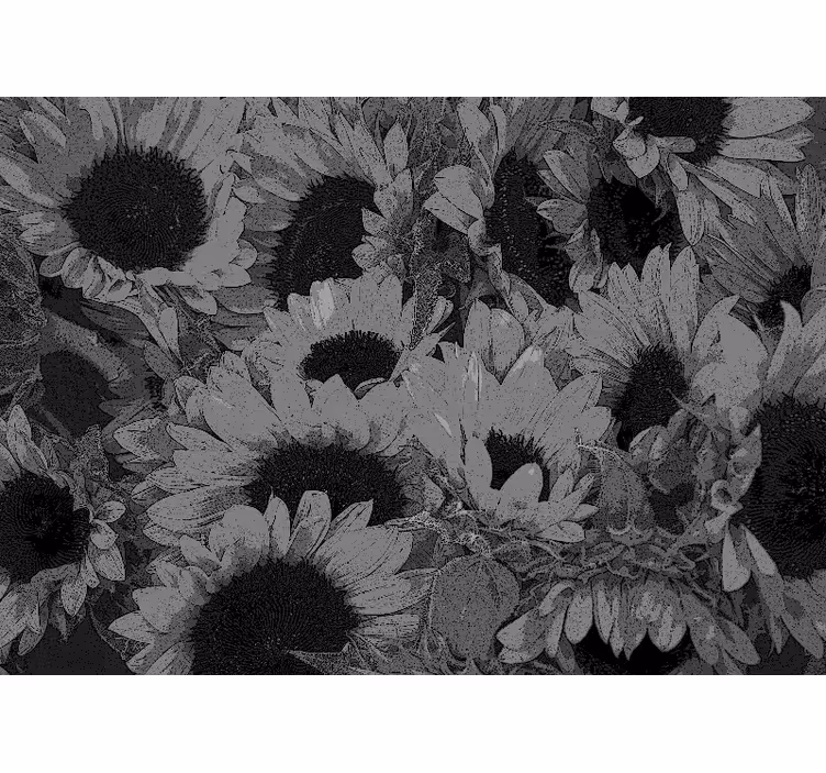 Fotomurale fiori motivo floreale di girasole - TenStickers