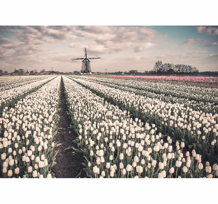 Fotomurale fiori paesaggio di tulipani - TenStickers