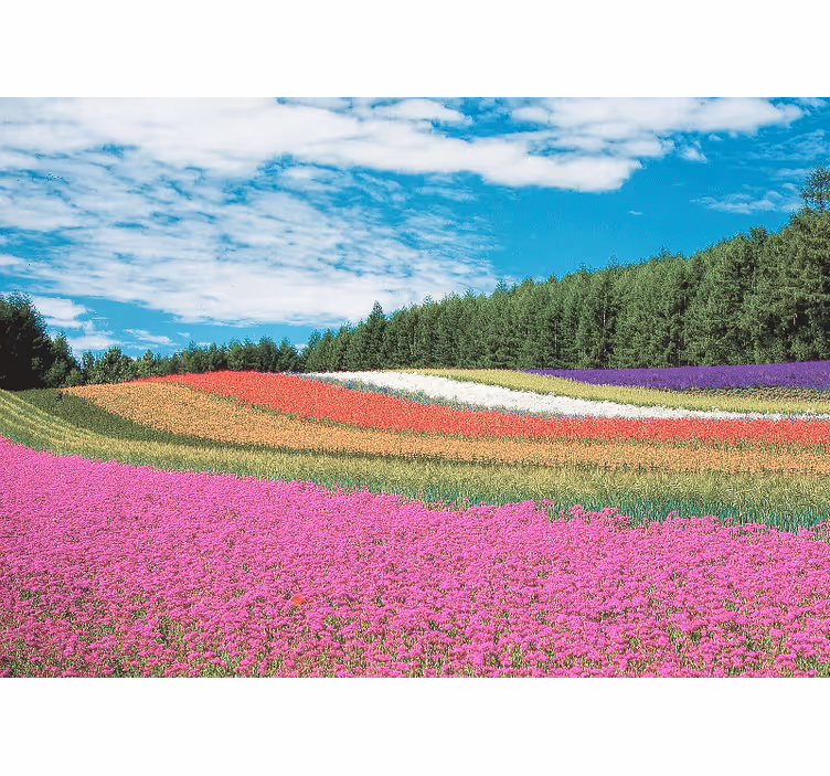Fotomurale fiori paesaggio floreale vibrante - TenStickers