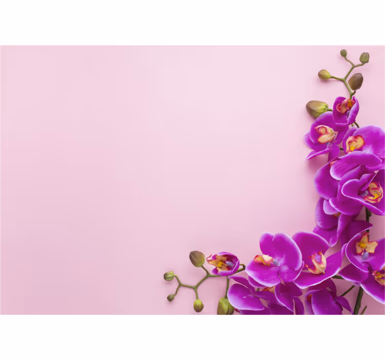 Fotomurale orchidee composizione floreale - TenStickers