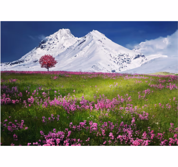 Fotomurale paesaggi vista di un prato di montagna - TenStickers