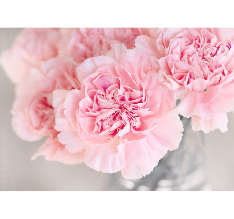 Fotomurale fiori fiori rosa incantevoli - TenStickers
