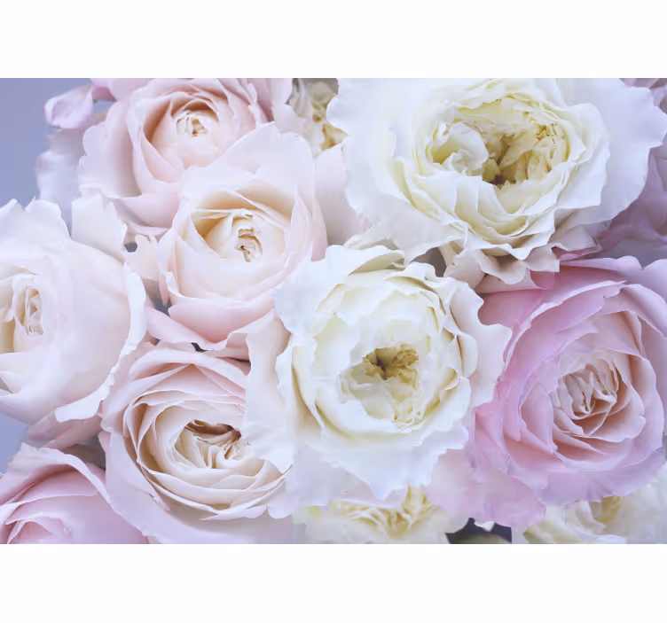 Fotomurali rosa tonalità rosa tenue - TenStickers