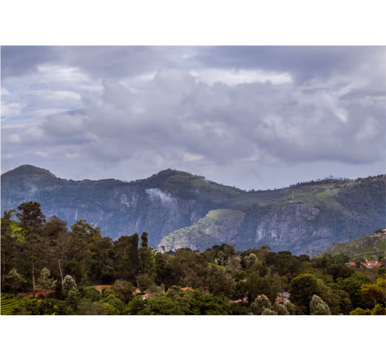 Fotomurale paesaggi vista montagna serena - TenStickers