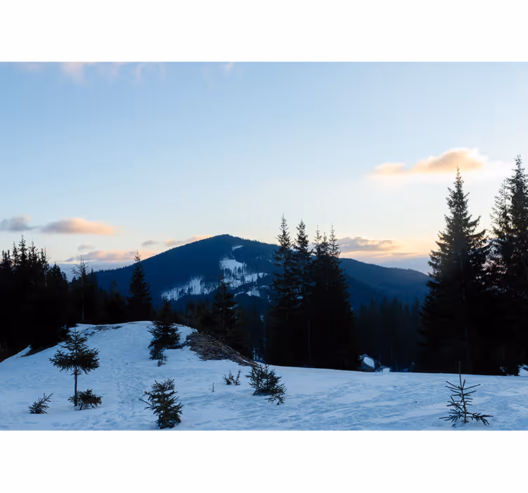 Fotomurale montagna paesaggio di cime ghiacciate - TenStickers