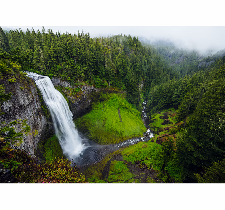 Fotomurali natura cascata verde lussureggiante - TenStickers