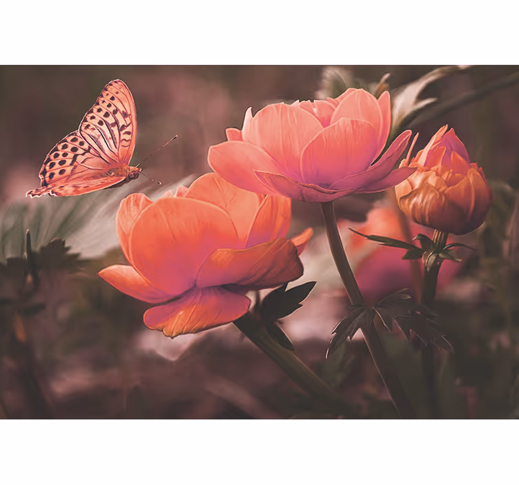 Fotomurale fiori farfalla sui fiori - TenStickers