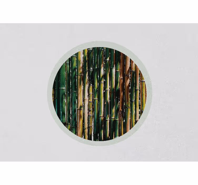 Carta da parati 3d bosco di bamboo verde - TenStickers